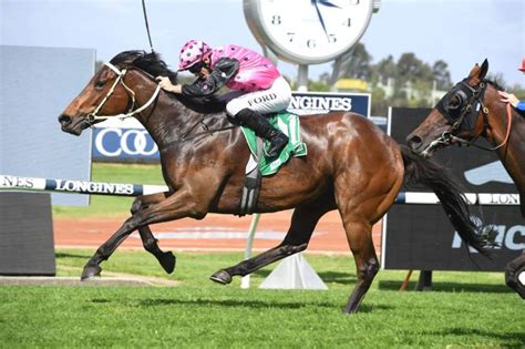 rosehill gold cup prediction|ROSEHILL GOLD CUP Form Guide and Analysis .